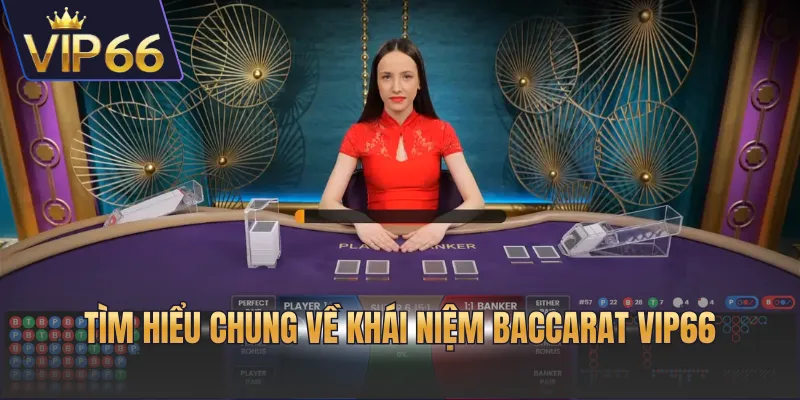 Tìm hiểu chung về khái niệm baccarat VIP66